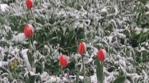 Погода шокувала користувачів соцмереж. Скріншот Instagram