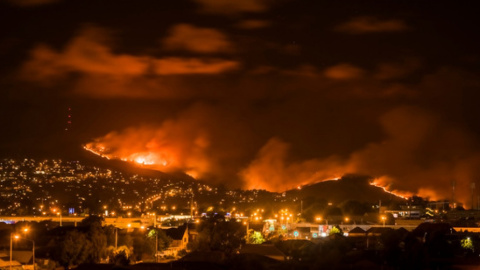 Пожежа в Новій Зеландії. Фото: nzherald.co.nz