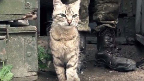 Українські військові в Авдіївській промзоні. Скріншот відео 