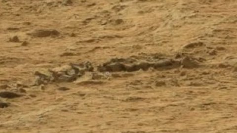 NASA новую находку пока не комментирует.