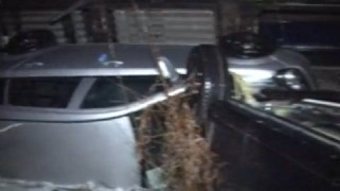 Всі машини отримали ушкодження. Скриншот відео zik.ua