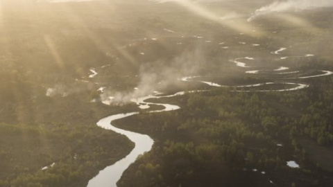З'явилося відео пожежі в Чорнобильській зоні