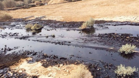 ​ЧП в Израиле: природный заповедник залило нефтью