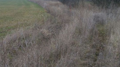 Тривають заходи по встановленню осіб, причетних до контрабанди. Фото:dpsu.gov.ua