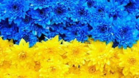 В Ялте выпускники отказались петь гимн РФ, дружно спев национальный гимн Украины