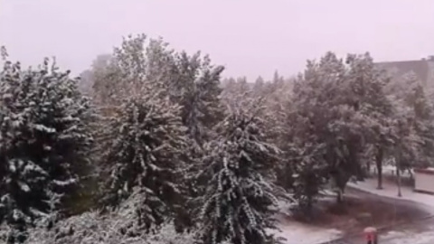 Фото: скріншот відео