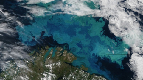 Супутник ПАХУ запустять в 2022-2023 роках. Фото: nasa's Earth Observatory
