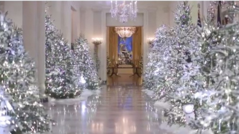 Білий дім прикрасили до Різдва. Скріншот відео @FLOTUS