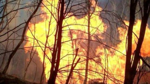 На Закарпатті сталася аварія на газопроводі, який веде до Європи