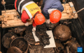 China unveils highest-level Chu state tomb excavated to date. Photo by Xinhua.