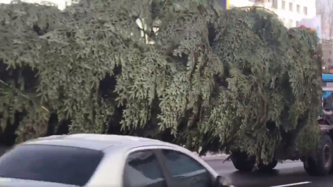 Головна ялинка їде вулицями Києва. Скріншот відео