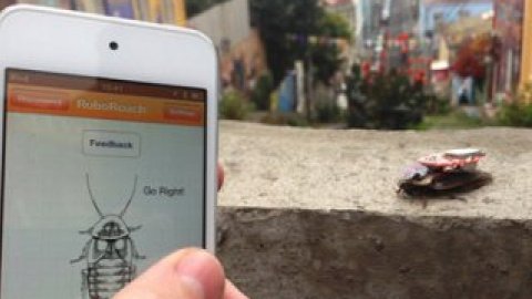 Спеціальний додаток для смартфона дозволяє власникові пристрою експериментувати з амплітудою і формою імпульсів.