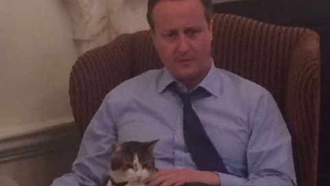 Кемерон представив Шварцнеггера як свого хорошого друга. Фото: twitter.com/David_Cameron