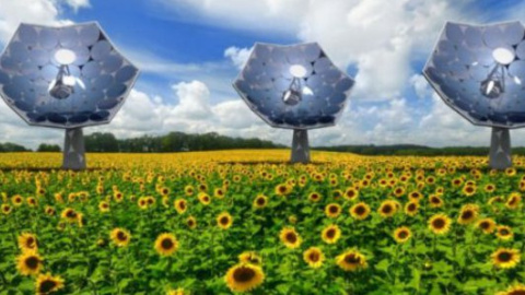 ​Подсолнухи IBM обеспечат города автономной энергией, водой и охлаждением