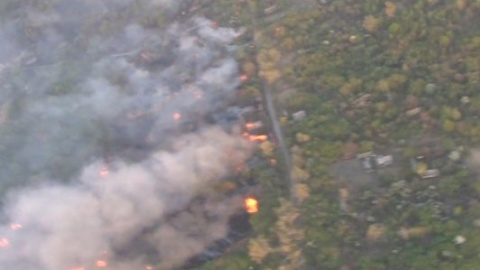 Опубліковано перші відеокадри масштабної пожежі в Чорнобильській зоні