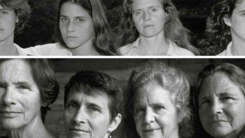 ​В Нью-Йорке серия фотографий The Brown Sisters была продана за 370 тысяч долларов