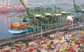 An international container terminal of Tianjin Port in north China's Tianjin. Photo by Xinhua/Zhao Zishuo.