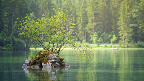 Озеро. Фото: pixabay