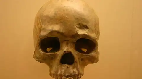 Liujiang Homo sapiens in south China. Photo by Xinhua.