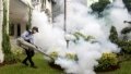 A worker sprays anti-mosquito fog to prevent the spread of dengue fever in Bogor, West Java, Indonesia. Photo by Sandika Fadilah/Xinhua.