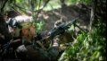 Russian attacks on Lyman Axis become as frequent as on Pokrovsk Axis - General Staff