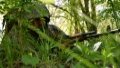 Russia continues to increase pace of offensive actions in Donetsk Region - General Staff
