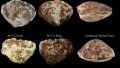 Chinese researchers restore shell paintings from Warring States period. Photo by Xinhua.