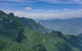 Several new plant species discovered in SW China nature reserve over past decade. Photo by Xinhua.