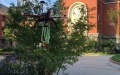 Engineers develop soft drone grippers inspired by climbing plants. Photo by Xinhua.