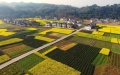 China`s countryside. Photo by Xinhua.