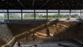 Tomb excavation in China's Anhui yields major discoveries. Photo by Xinhua.