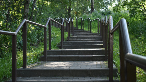 Літо. Фото: pixabay
