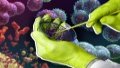 Scientists study microbial resources for industrial applications. Photo: Facebook.