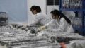 Archaeologists preserve the relics unearthed from the Wuwangdun tomb discovered in Huainan, east China's Anhui Province. Photo by Xinhua/Zhang Duan.