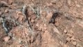 Over 400 Cretaceous dinosaur footprint fossils discovered in SW China. Photo by Xinhua.