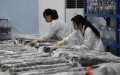 Archaeologists preserve the relics unearthed from the Wuwangdun tomb discovered in Huainan, east China's Anhui Province. Photo by Xinhua/Zhang Duan.
