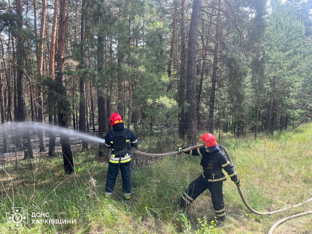 Фото: ДСНС