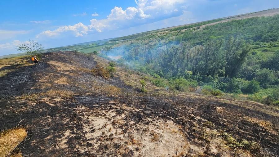 Наслідки пожежі в національному природному парку 