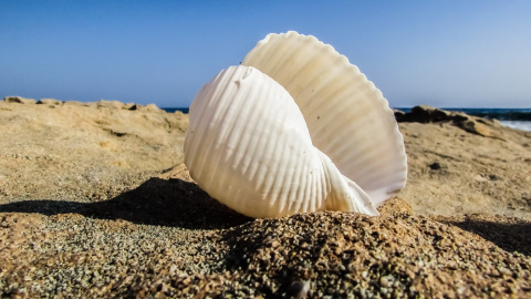 Фото: pixabay