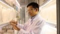 Wang Guirong observing insects at the Agricultural Genomics Institute at Shenzhen under the Chinese Academy of Agricultural Sciences (CAAS) in Shenzhen, south China's Guangdong Province. Photo by CAAS/Xinhua.