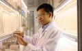 Wang Guirong observing insects at the Agricultural Genomics Institute at Shenzhen under the Chinese Academy of Agricultural Sciences (CAAS) in Shenzhen, south China's Guangdong Province. Photo by CAAS/Xinhua.