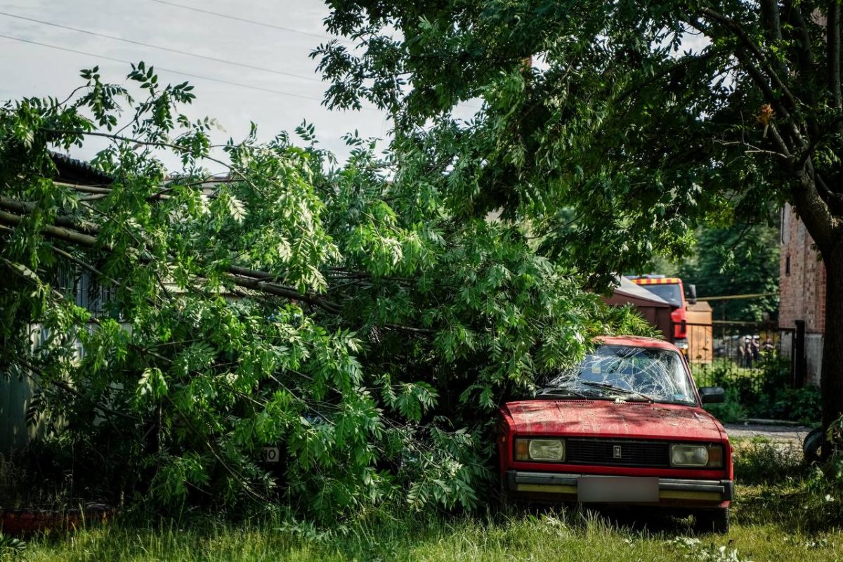 Consequences of russian shelling in Poltava Region. Photo: Telegram/Filip Pronin / Poltava Regional Military Administration