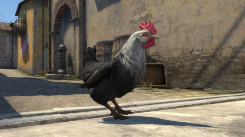 Курча з Counter-Strike 2. Фото: Valve