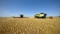 Farmers harvest 28.5 million tons of grain and oil-bearing crops