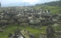 There are fewer and fewer tanks at russian storage bases. With such intensity of fighting, they will be enough