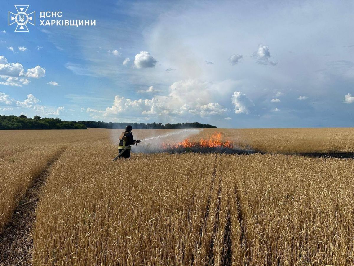 Фото: ДСНС