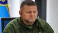 Ambassador Zaluzhnyi goes to UK for first time after being appointed to position – media