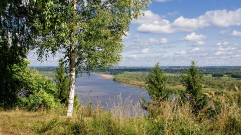 Літо. Фото: pixabay