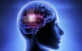 Researchers develop brain-on-a-chip system, advancing brain-computer interfaces. Photo by Xinhua.