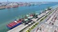 The container ship COSCO Shipping Camellia at the Pacific International Container Terminal of Tianjin Port in north China's Tianjin. Photo by Xinhua/Zhao Zishuo.